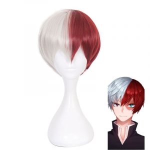 Perruque Shoto Todoroki